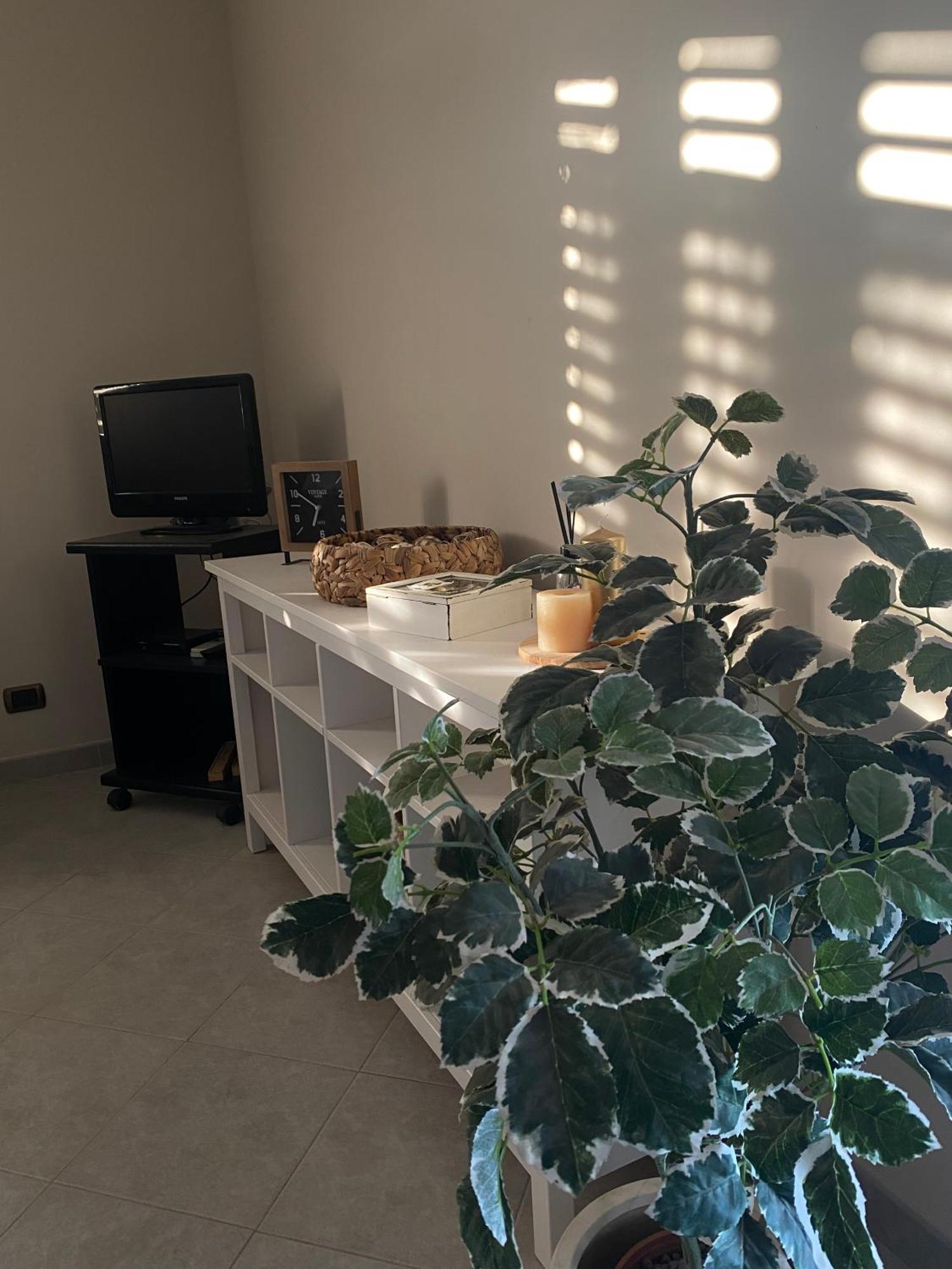 Maeri Home Augusta Luaran gambar